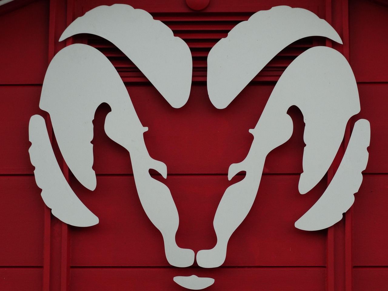 barbatul capricorn